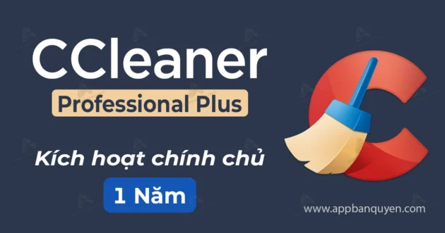 Ccleaner Professional Plus